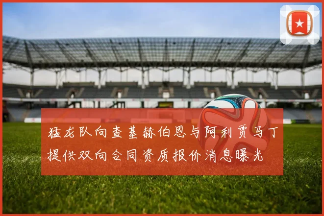 猛龙队向查基赫伯恩与阿利贾马丁提供双向合同资质报价消息曝光