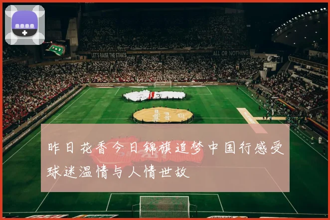 昨日花香今日锦旗追梦中国行感受球迷温情与人情世故